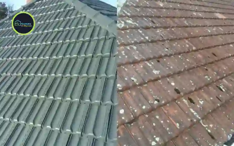 Before and after roof painting South Auckland — corrugated iron roof Dulux transformation