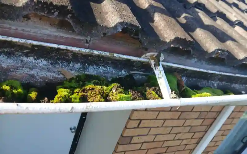 Blocked gutters Auckland overflow damage fascia