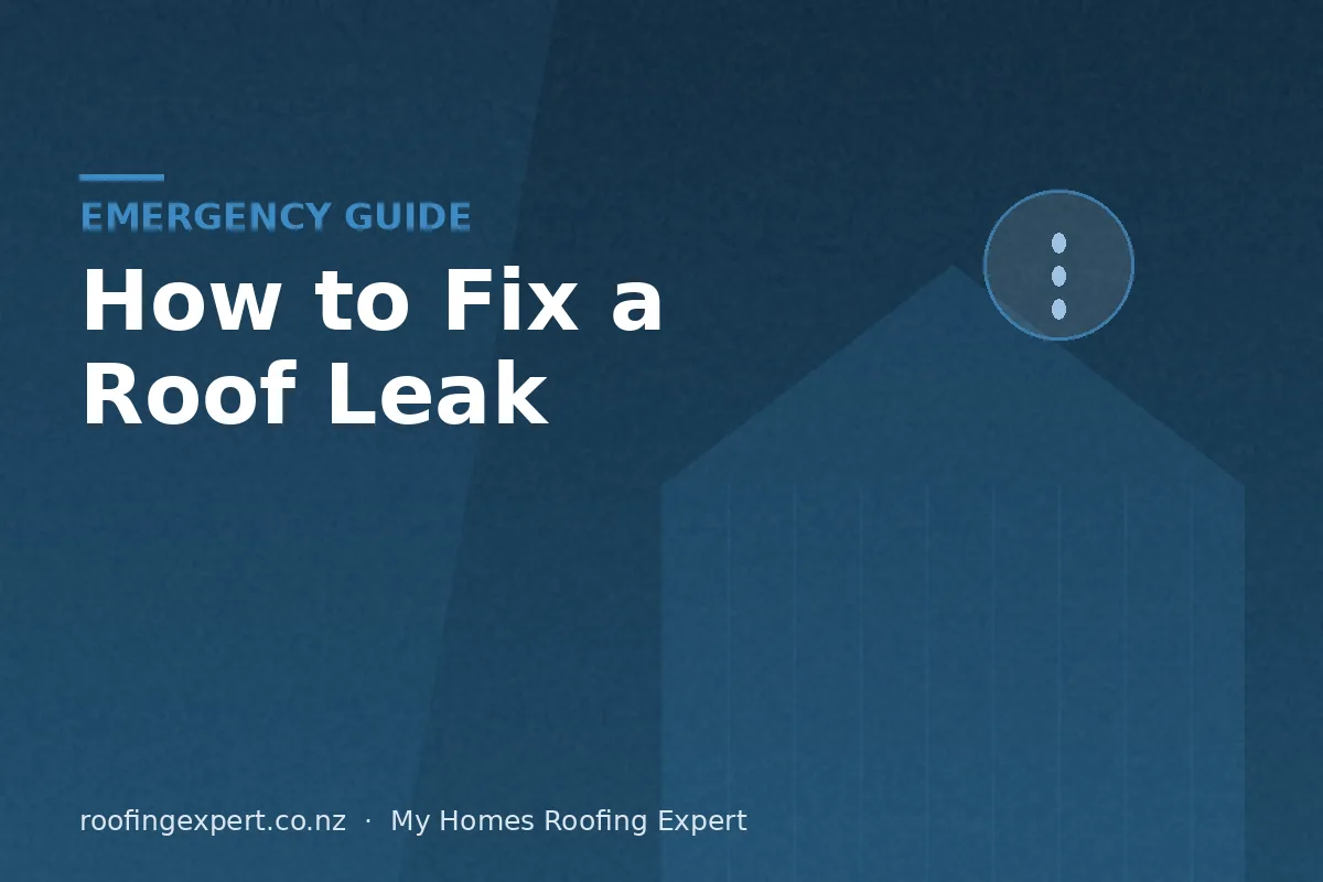 Homeowner about to fix roof leak on a New Zealand house