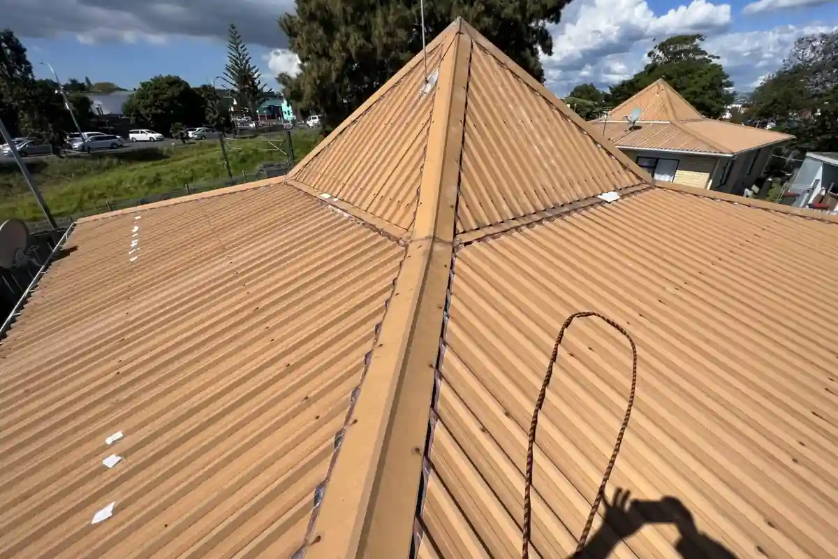 Green Roofs in Auckland — Are Living Roofs Worth It?