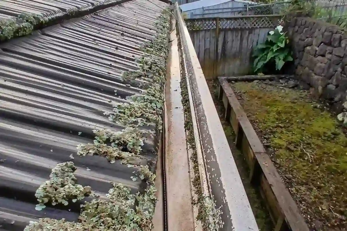 Gutter Maintenance Calendar for Auckland Homes