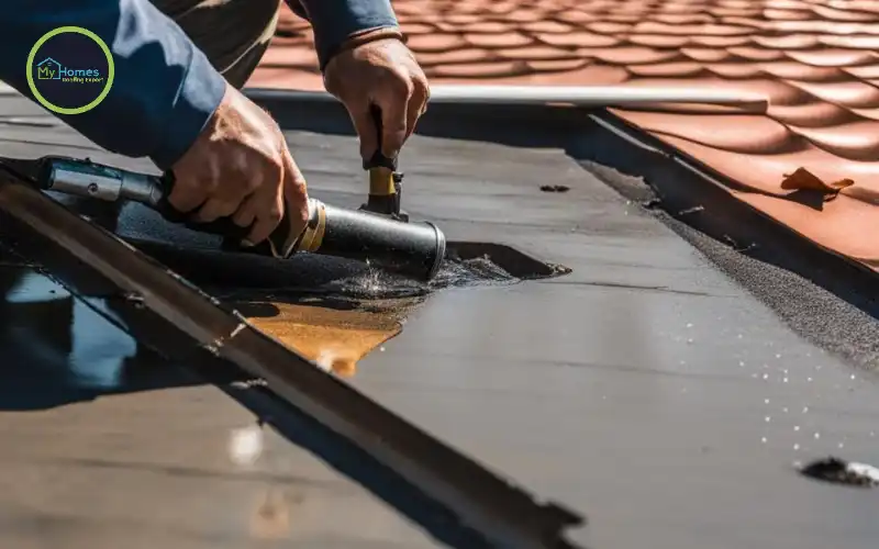 How to find roof leak Auckland inspection guide
