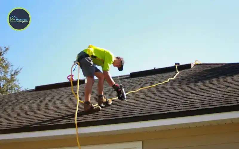 Auckland roof leak common sources flashing valleys