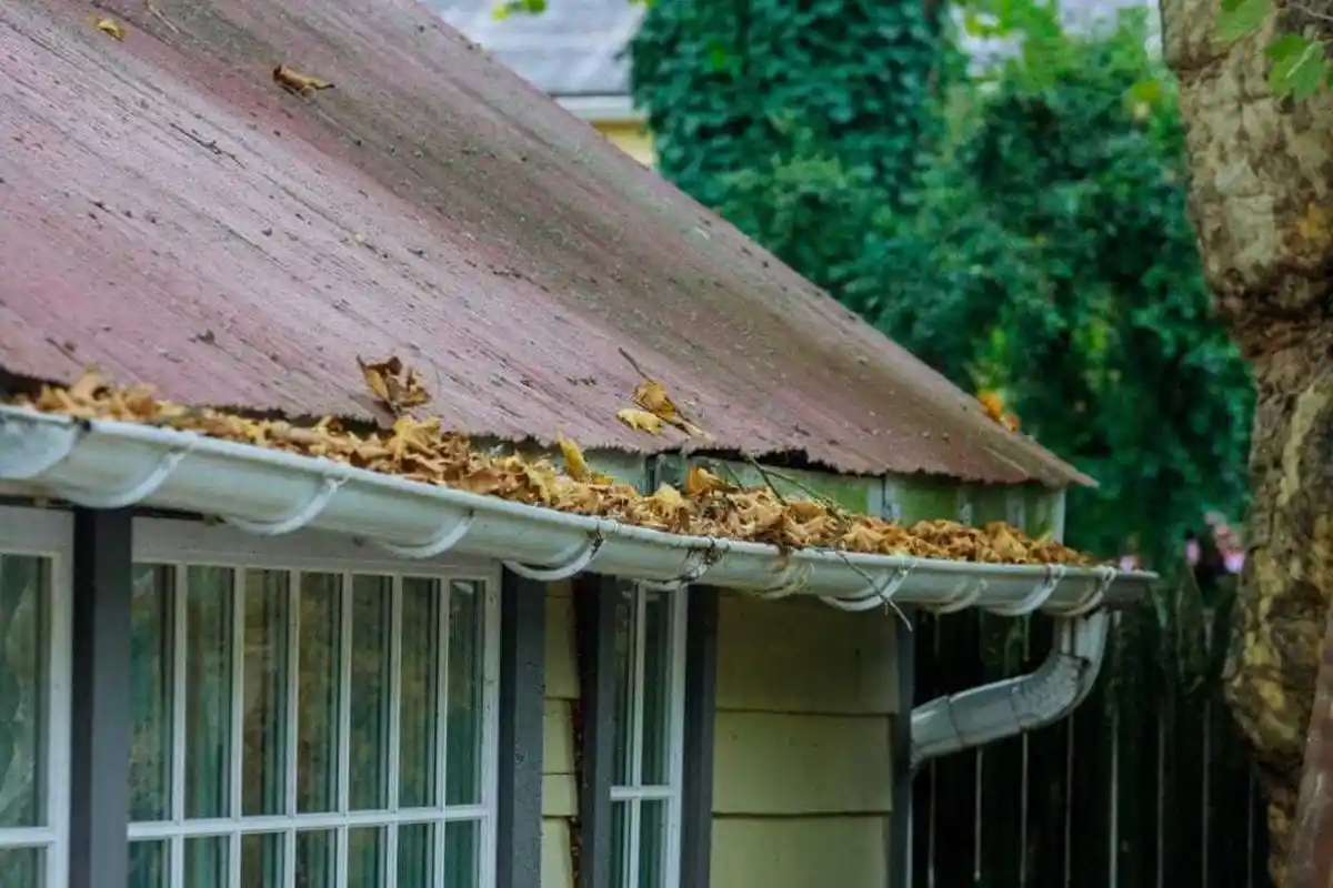 Internal Gutters in NZ — Pros, Cons & Risks