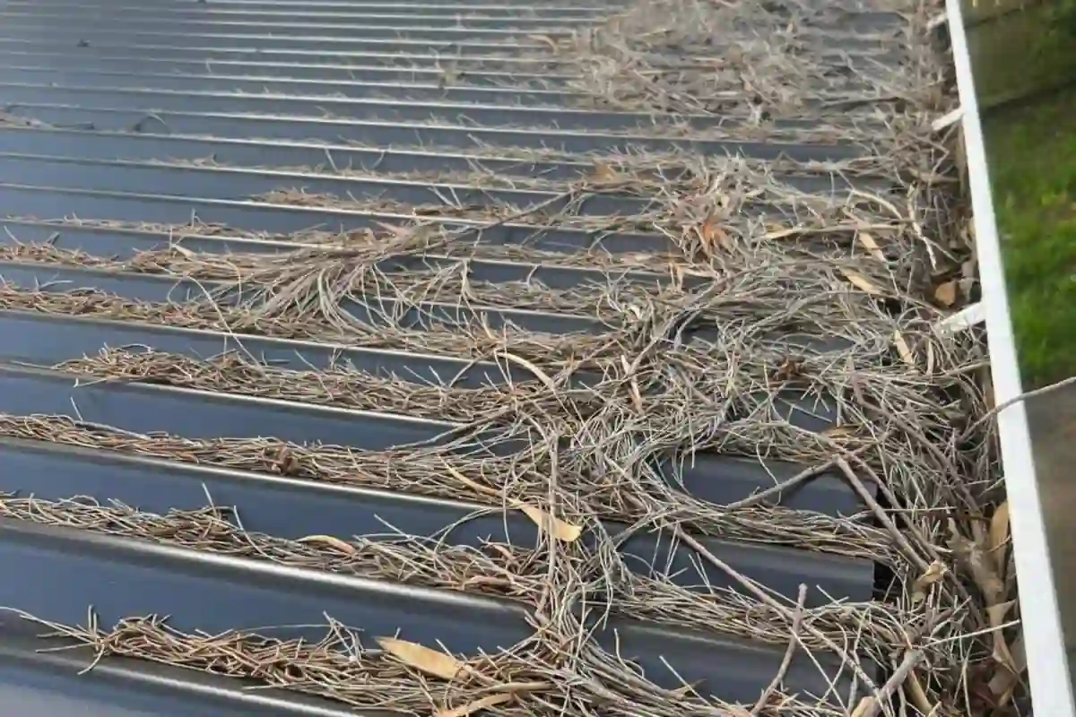 Stopping Moss From Coming Back on Your Roof (NZ Guide)