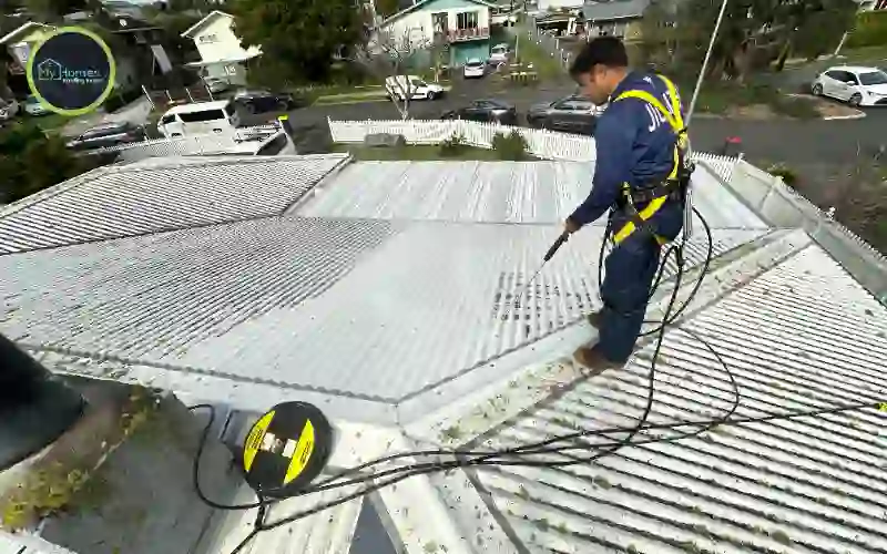 Auckland North Shore roof repair team Birkenhead Albany