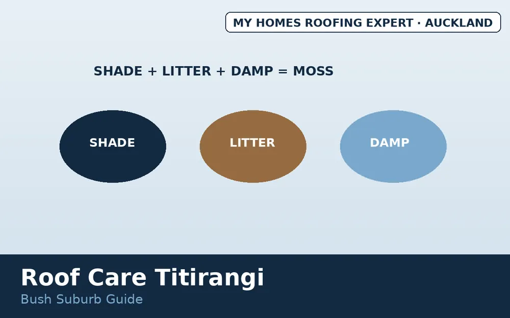 Titirangi bush shade leaf litter moss and lichen roof pressure