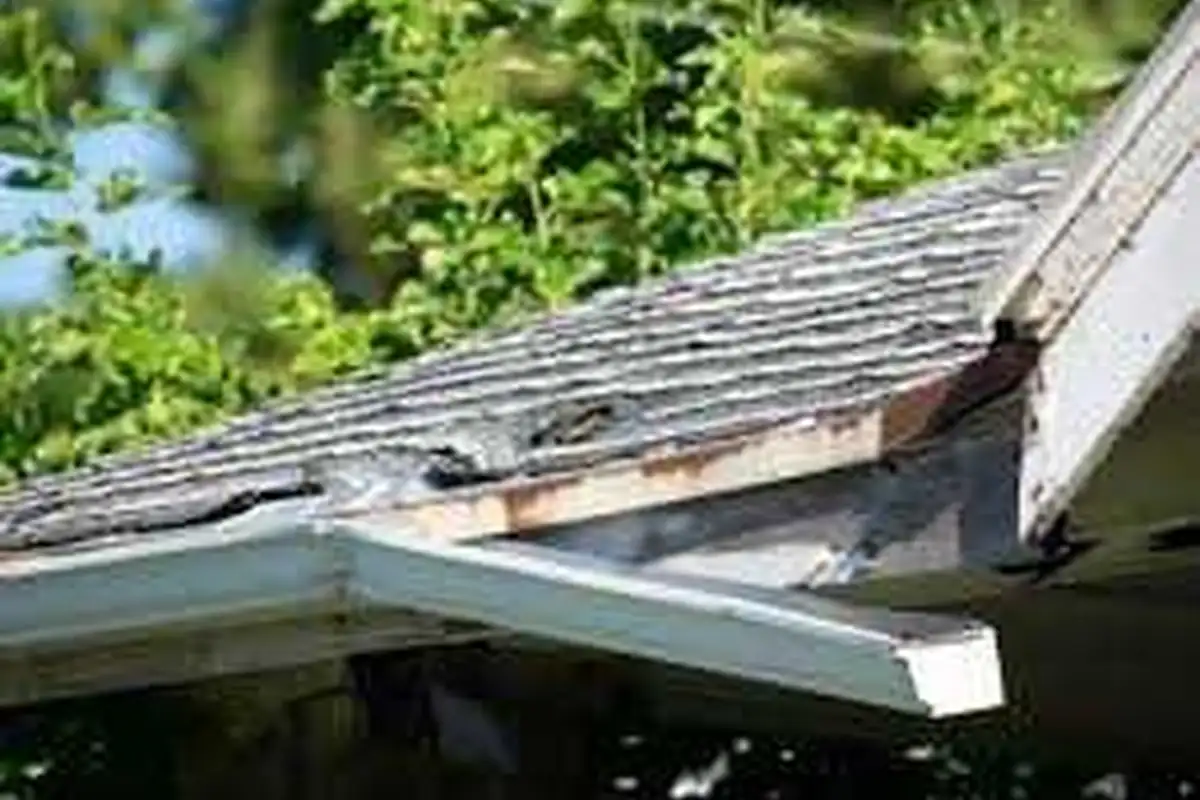 Soft wash roof treatment Auckland