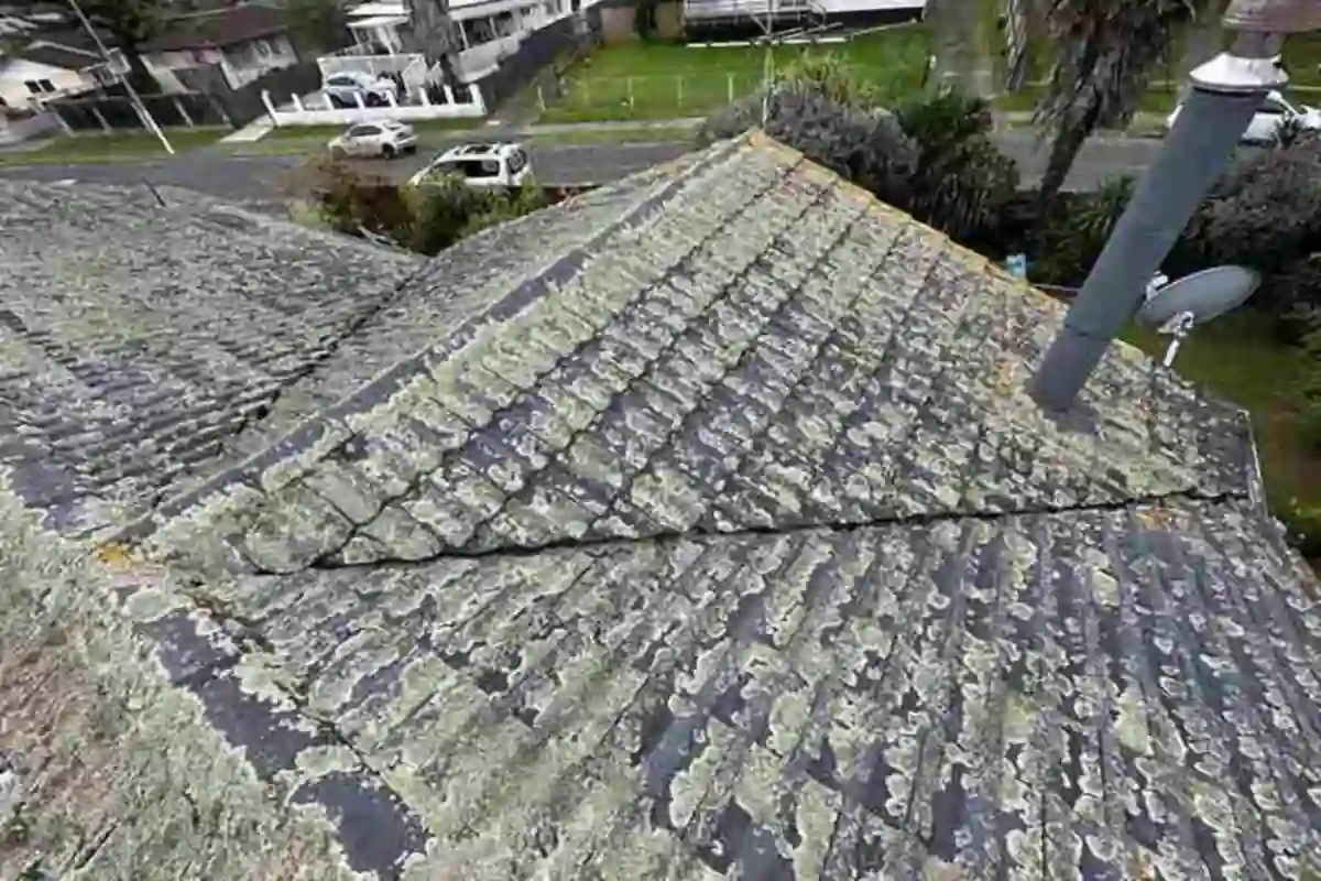 Moss treatment after roof clean Auckland Moss treatment after roof clean Auckland