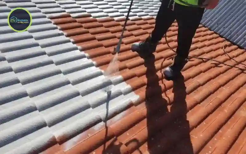 Peeling roof paint Auckland — signs cheap paint is failing prematurely