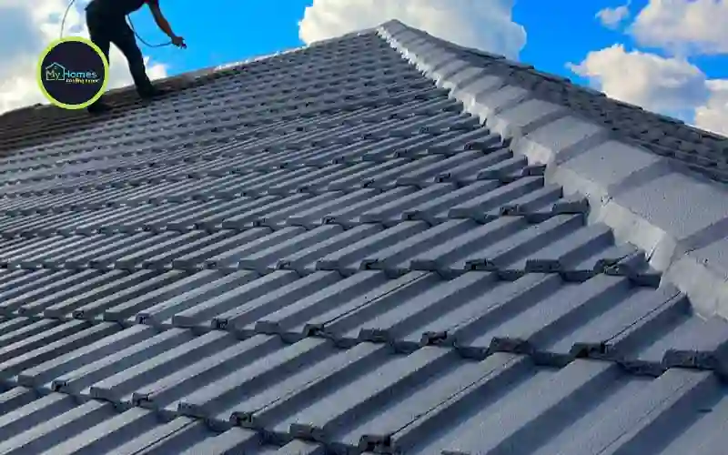 Roof painting process NZ — professional applying Dulux primer to Auckland metal roof