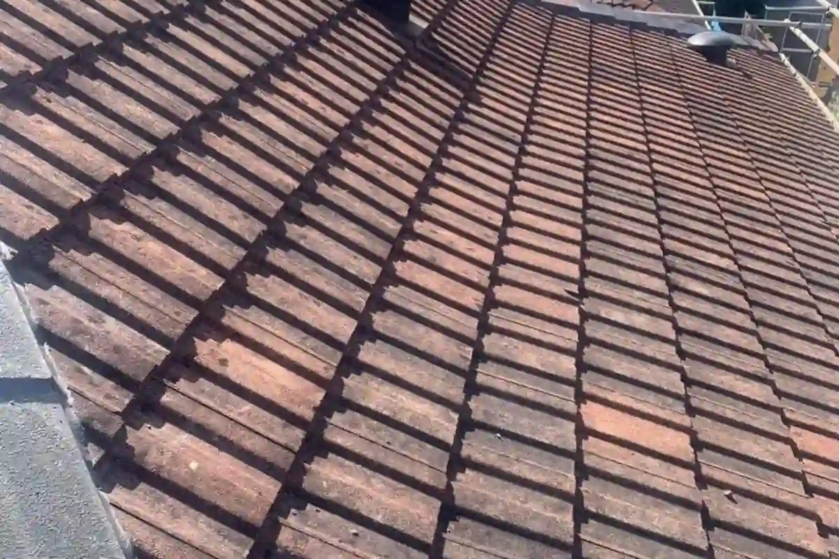 The Roof Painting Process in Auckland — Step by Step