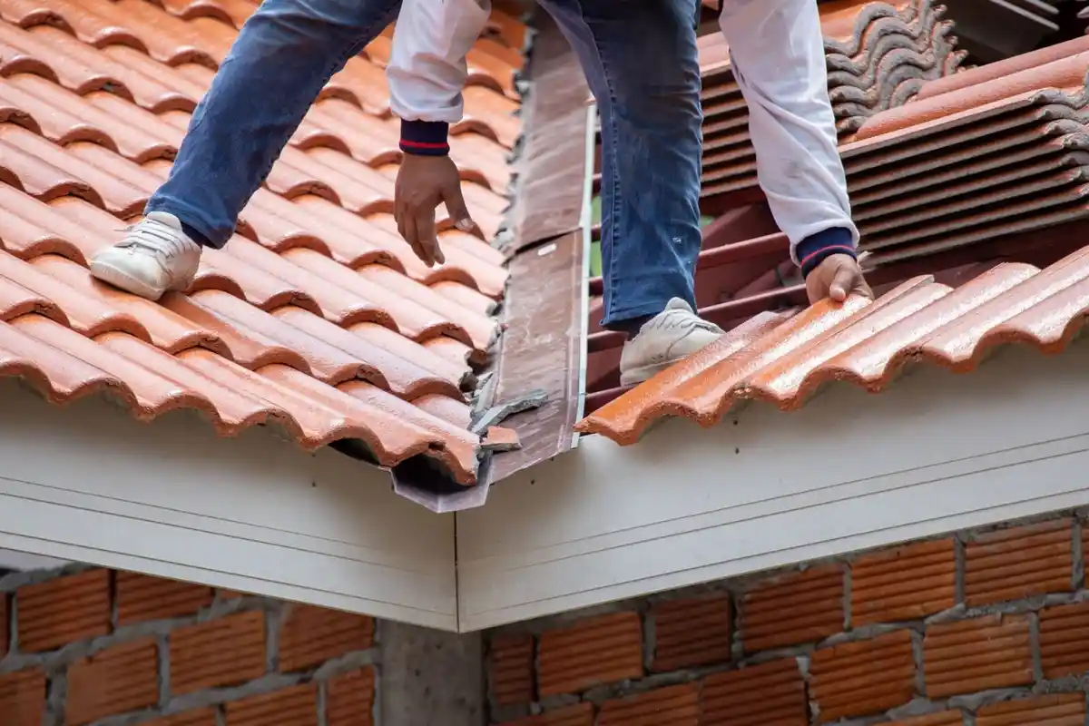 Walking on Your Roof: Damage Risks in NZ
