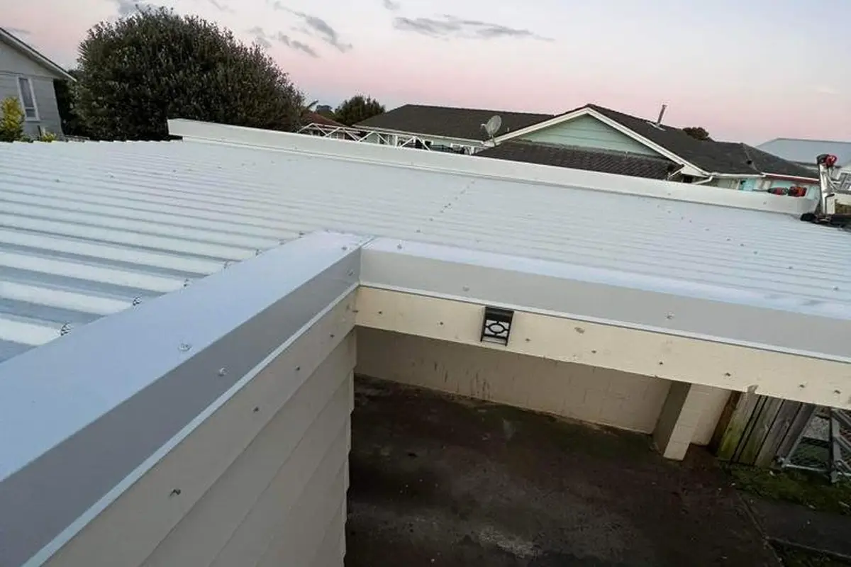 Safe roof inspection from ground Auckland Safe roof inspection from ground Auckland