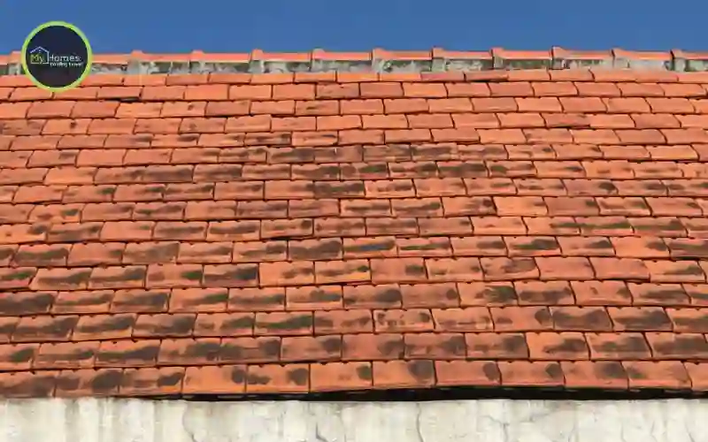 Signs need new roof Auckland end of life roofing