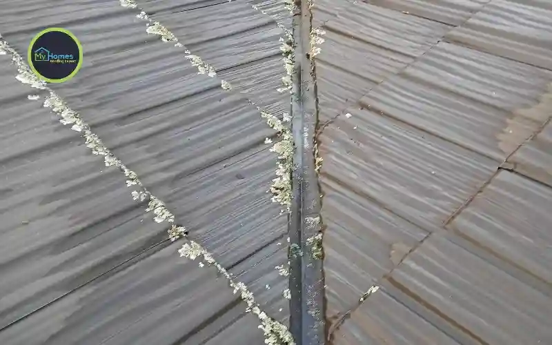 Professional gutter installation Auckland quad profile