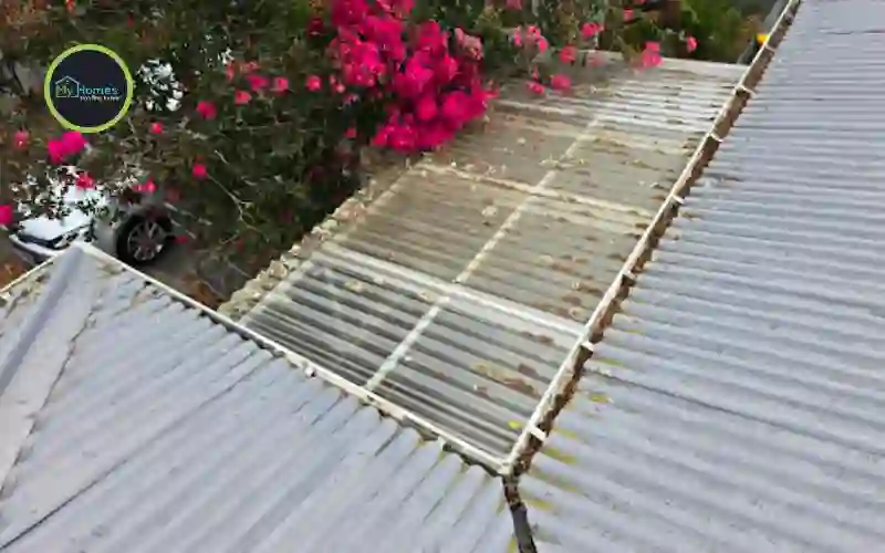 Auckland roof inspection professional spring maintenance