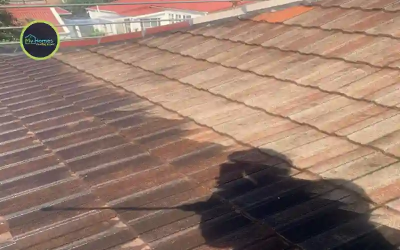 West Auckland roofing high rainfall Henderson Glen Eden