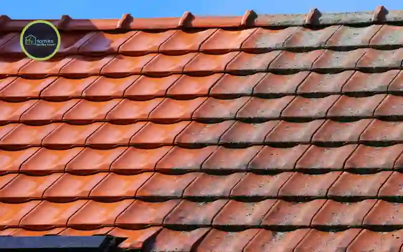 West Auckland roof moss treatment cleaning Titirangi