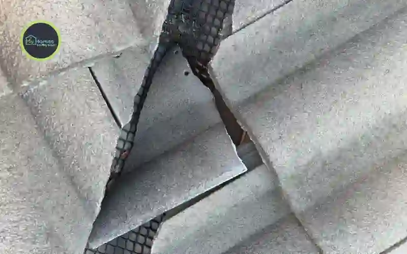 Winter roof maintenance Auckland gutter cleaning inspection