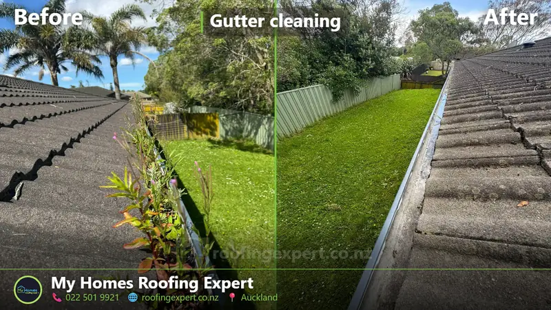 Before and after gutter cleaning in Auckland — lichen and organic growth removed from the gutter line and roof edge by My Homes Roofing Expert