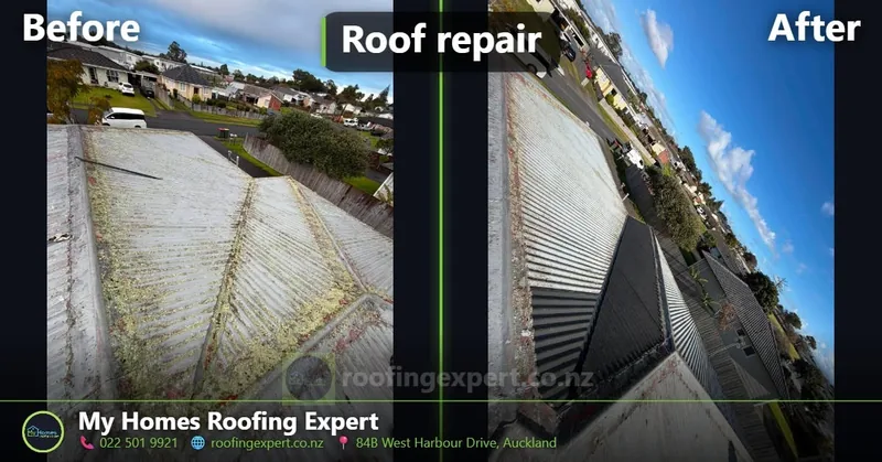 Before and after moss-covered corrugated roof cleaning in Remuera, Auckland — heavy moss and lichen soft-washed back to clean sheeting by My Homes Roofing Expert