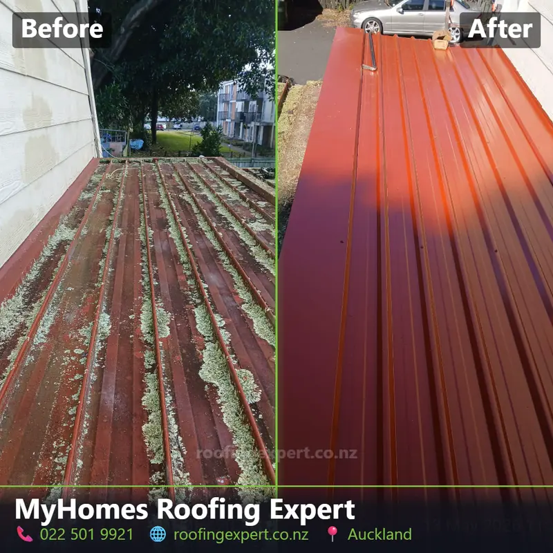 Before and after moss-damaged roof replacement in Auckland — corroded moss-covered sheeting stripped and replaced with new roofing by My Homes Roofing Expert