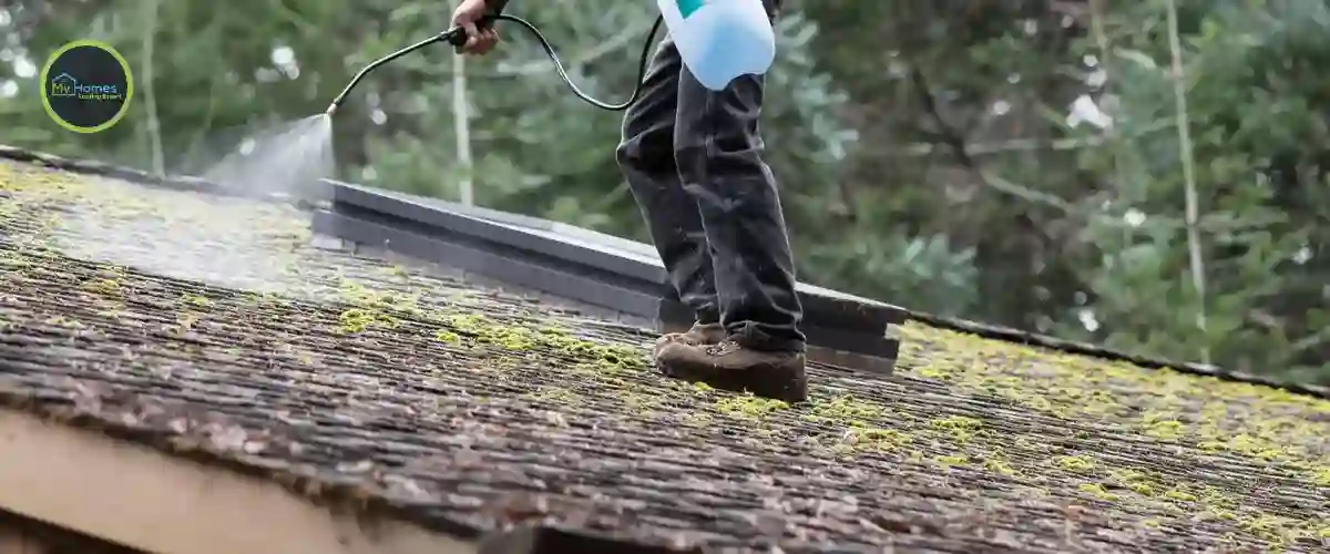 Roof Moss Treatment Auckland — Professional Moss & Lichen Removal & Biocide Treatment | My Homes Roofing Expert | Free Quote Roof moss treatment Auckland specialists — professional moss, lichen and algae removal and biocide treatment for long-lasting protection across Auckland by My Homes Roofing Expert, 5-star rated