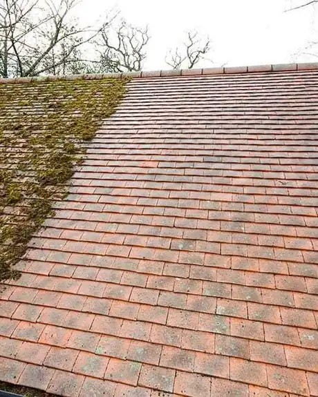 Moss and lichen growth on a residential roof before treatment