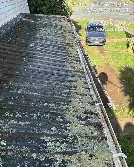 Treated roof surface after professional moss and lichen treatment in Auckland