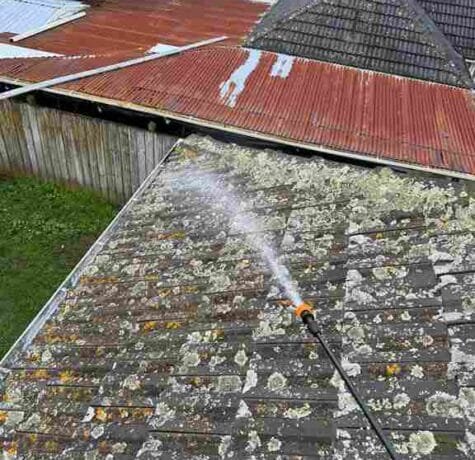 Roof Moss 1