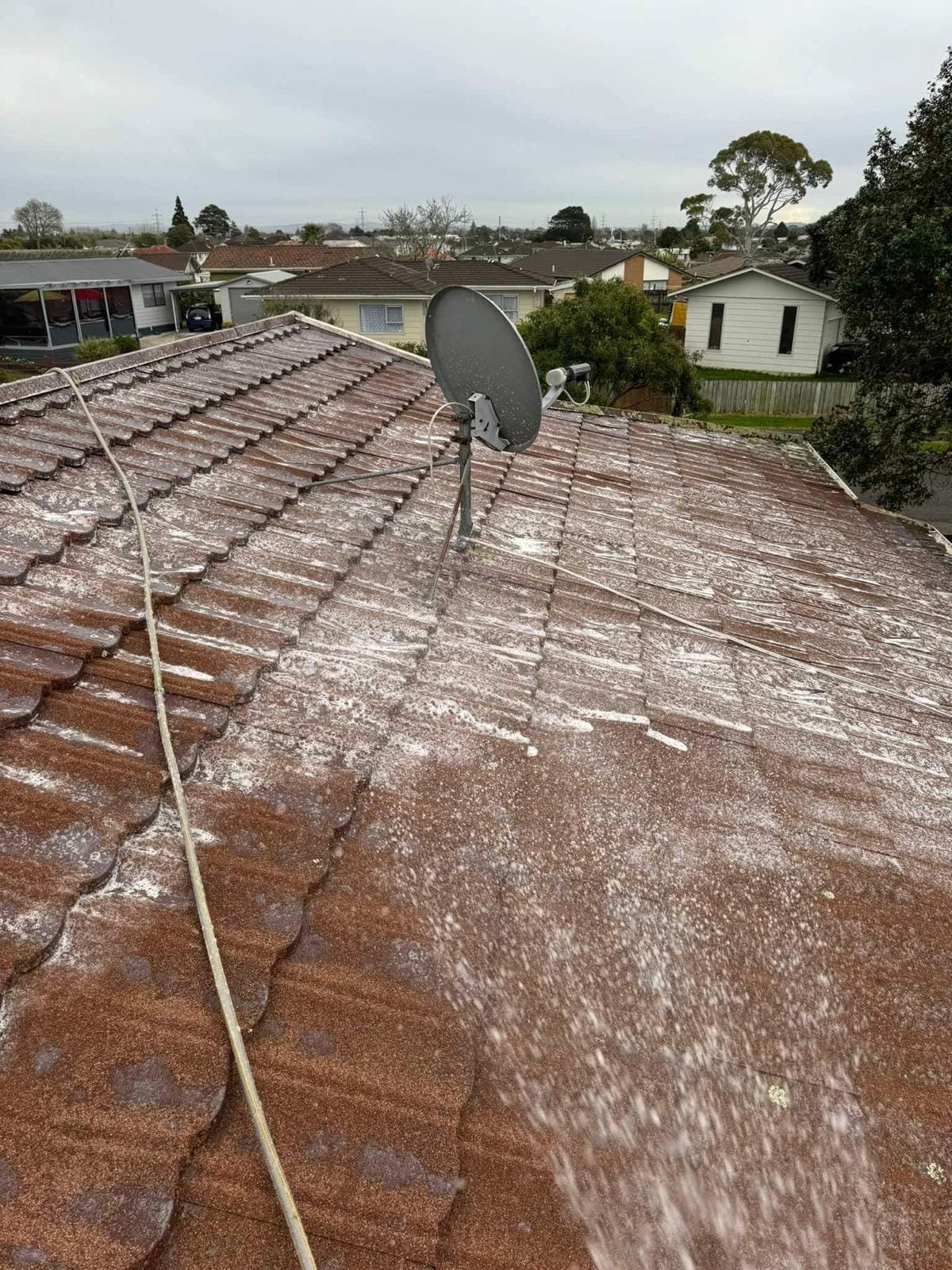 Roof Moss Treatment Auckland | roof cleaning cost