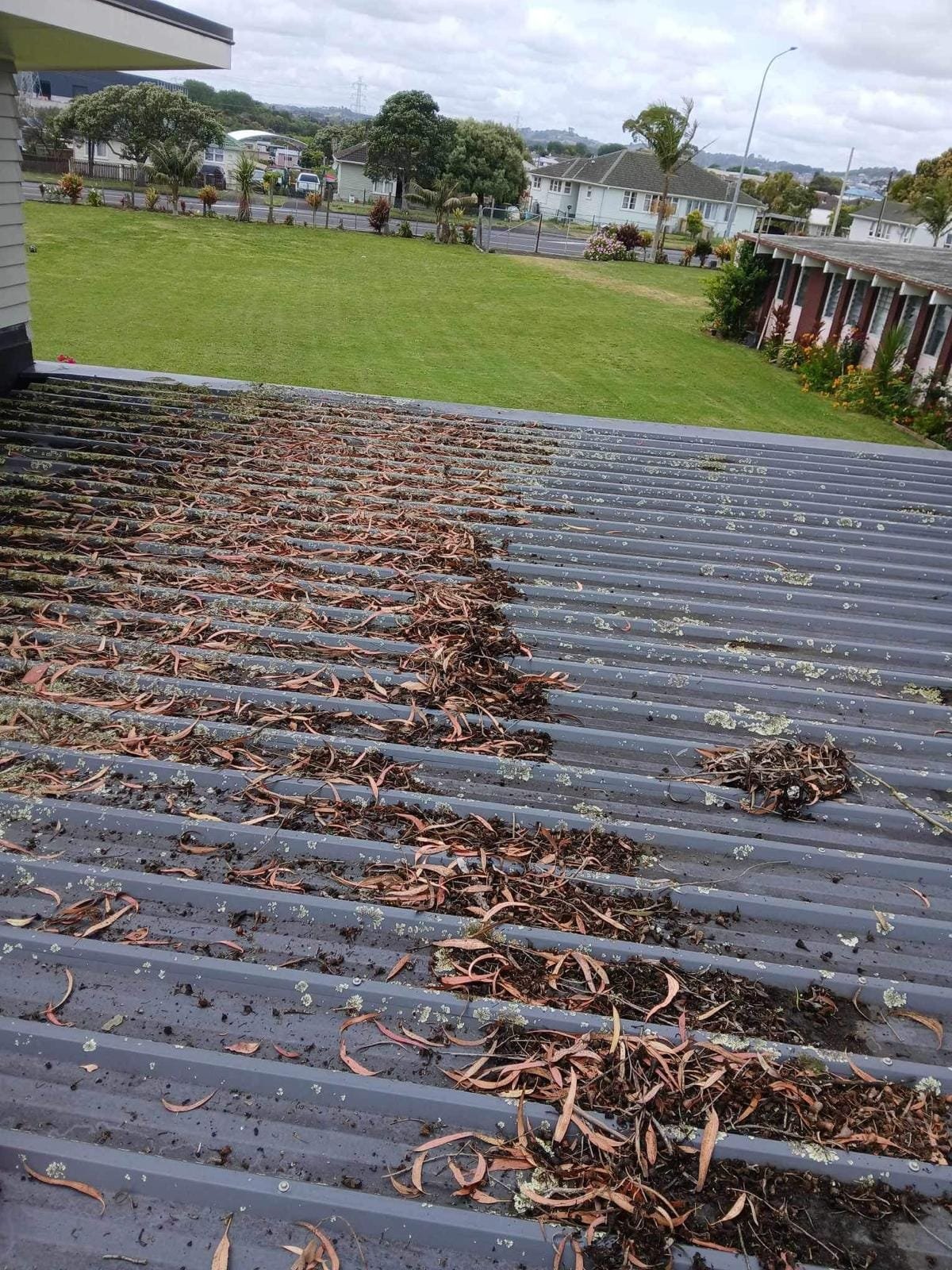 Roof Cleaning Auckland | Cheapest roof cleaning Auckland