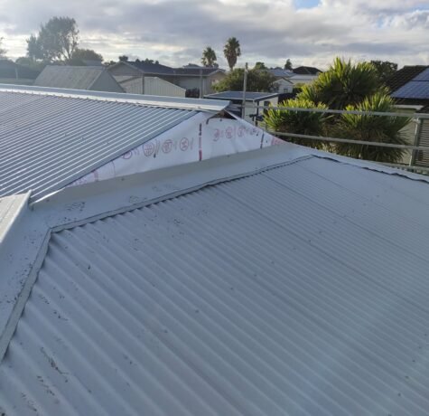 Roof Paint 06 05 01 2