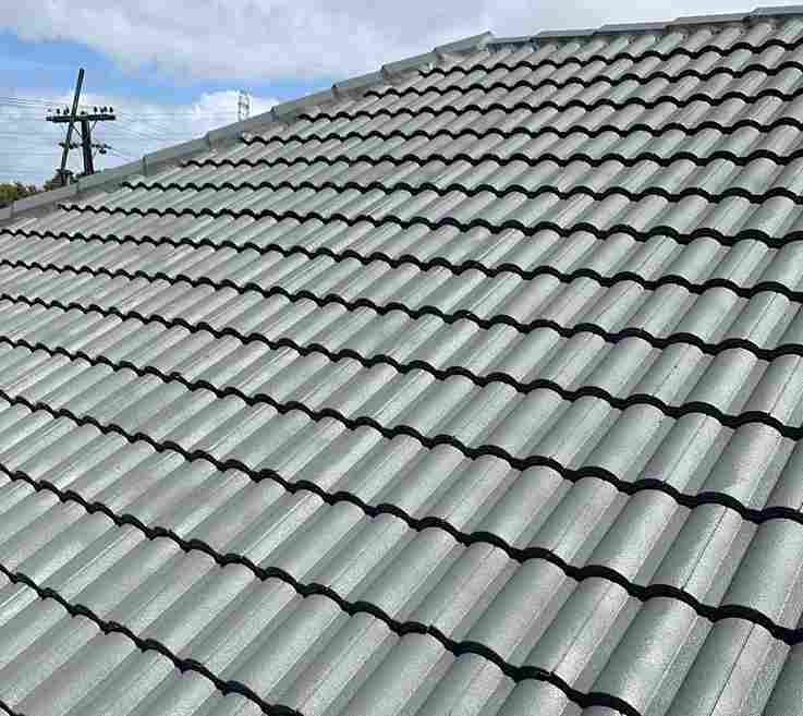 Best Guide to Roof Cleaning: Expert Insights