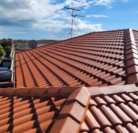 Roofing Company in Auckland | South Auckland Roofing Contractor | roof and moss treatment in Auckland | roof leak repair | Roof Cleaning Cost