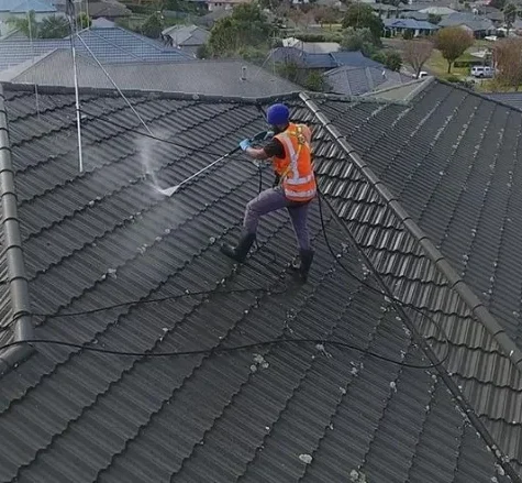 Roof Maintenance Steps in Auckland