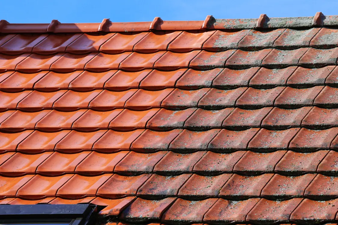 Best roof Painting Auckland | Auckland Roof Painting Services Company | Top Roofing Company in Auckland