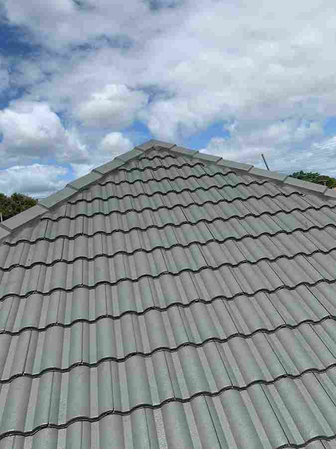 roof painting auckland nz
